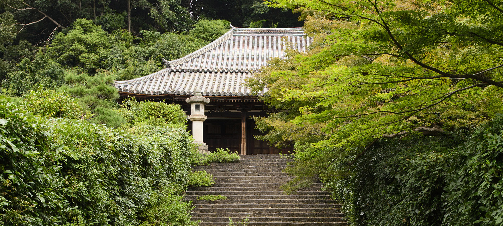 興福院TOPイメージ