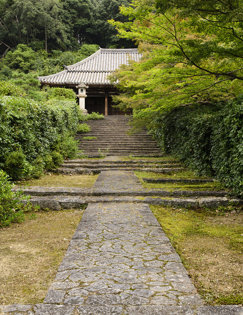 興福院TOPイメージ