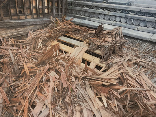 アライグマが穴をあけた客殿屋根