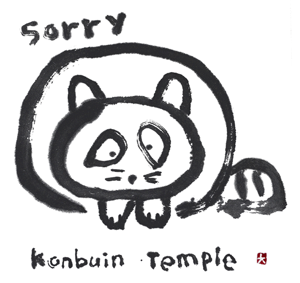 松田大児さんが描かれたアライグマのイラスト